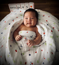 Load image into Gallery viewer, Muslin Quilt - Patisserie